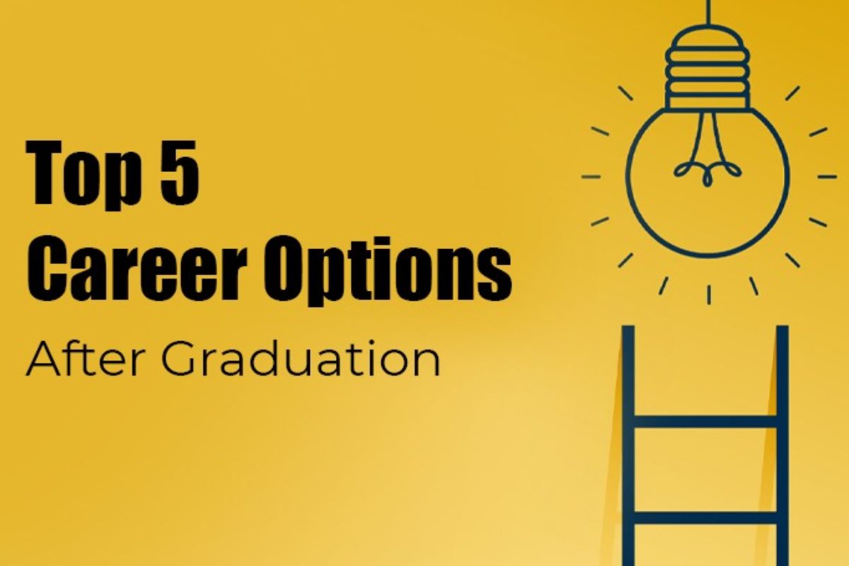 What are the Career Options to Choose After Graduation